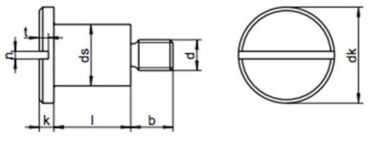 Slotted Pan Head Screws with Shoulder